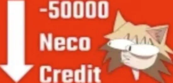 Как подобрать организацию для получения средств на национальный платёжный инструмент